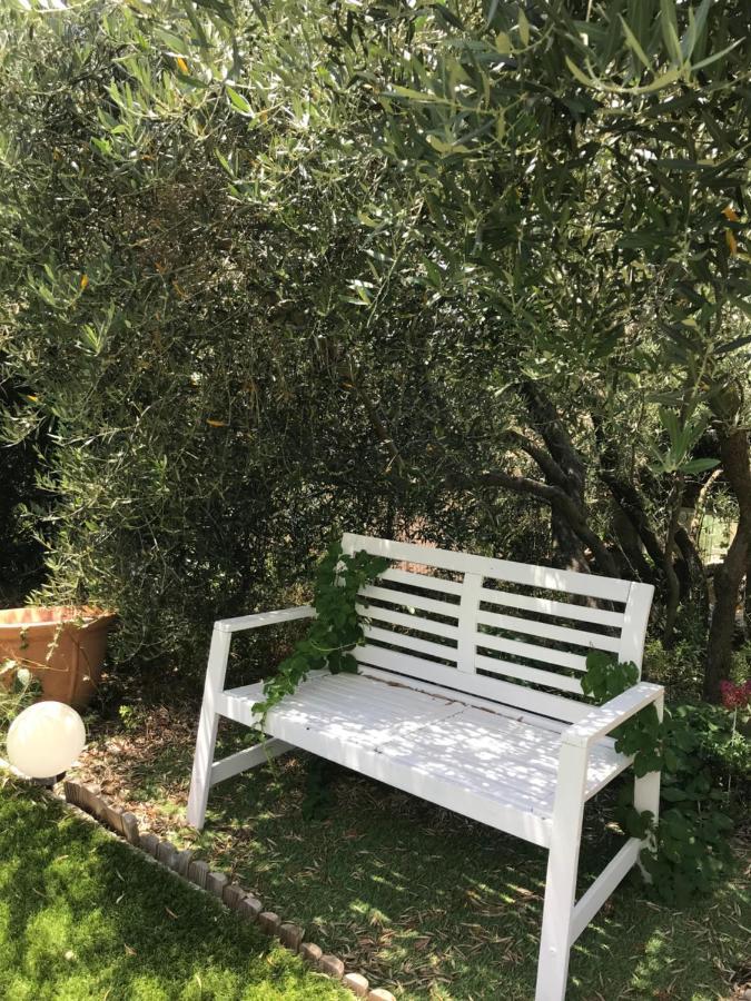 Chambre D Hotes Au Coeur Des Oliviers Marseille Eksteriør billede
